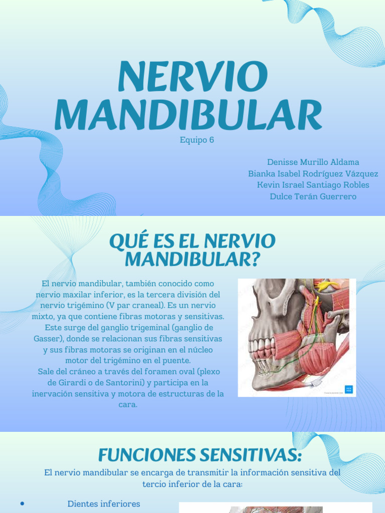ANESTESIOLOGIA | PDF | Neuroanatomía | Anatomía humana