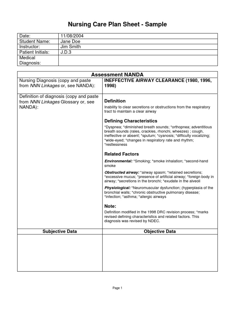 Nursing Care Plan Sheet Sample Respiratory Tract Respiratory Diseases