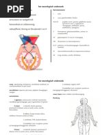 neurologie