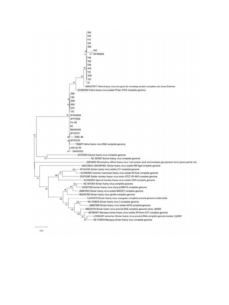 Evolutionary Analysis by Maximum Likelihood Method | PDF