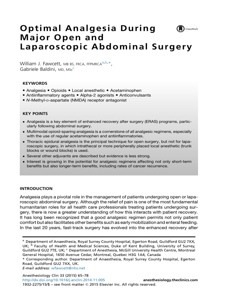 Optimal Analgesia During Major Open and Laparoscopic Abdominal Surgery ...