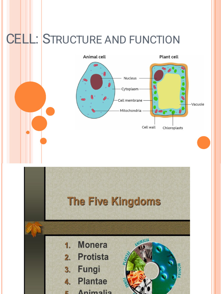 Cell Function of Biochemistry 1 | PDF | Cell (Biology) | Cytoskeleton
