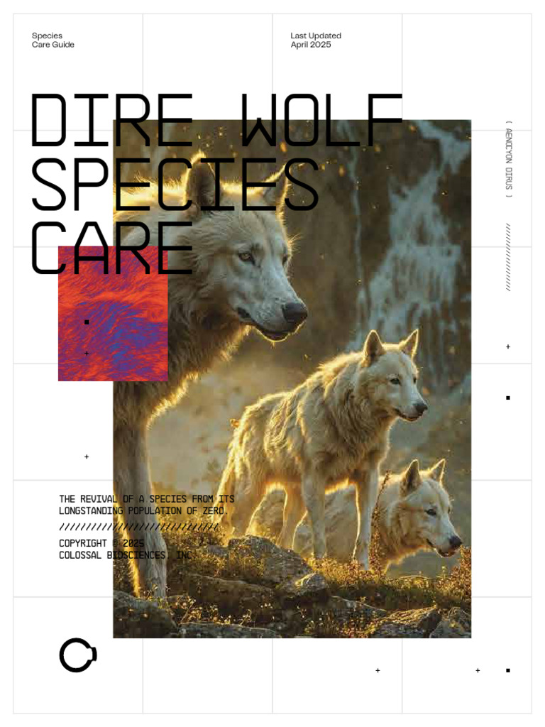 Dire Wolf Husbandry Manual | PDF | Canis