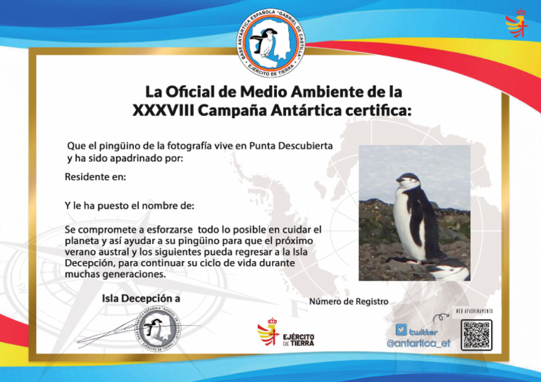 Diploma | PDF