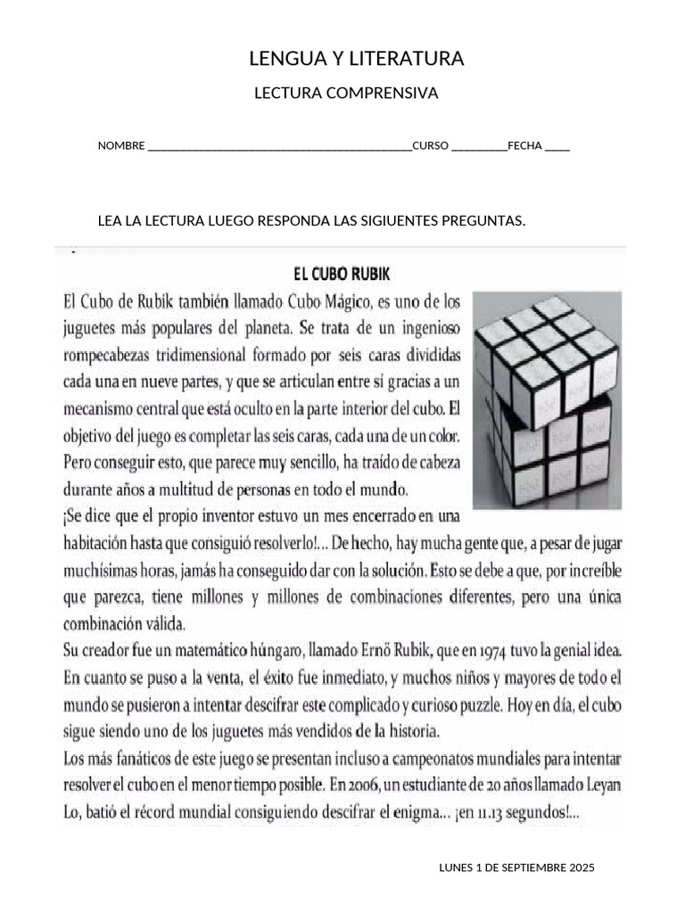Lengua y Literatura Lectura Comprensiva | PDF