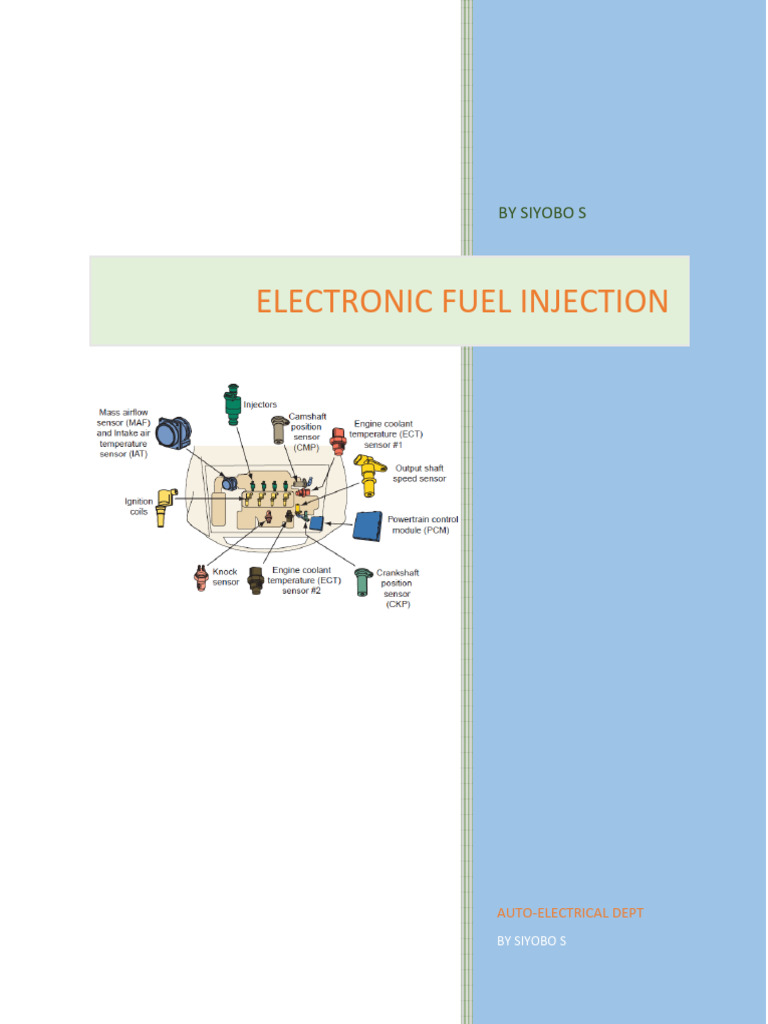 Electronic Fuel Injection | PDF | Fuel Injection | Throttle