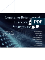 Blackberry Consumer Behavior