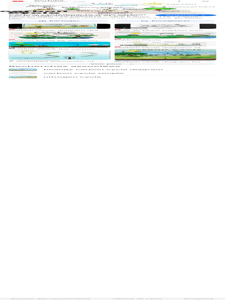The Drawing of Carbon Cycle - Recherche Google | PDF
