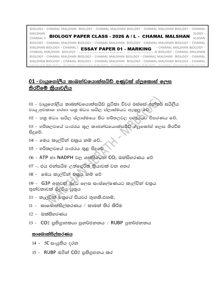 Essay Paper 02 - Marking | PDF