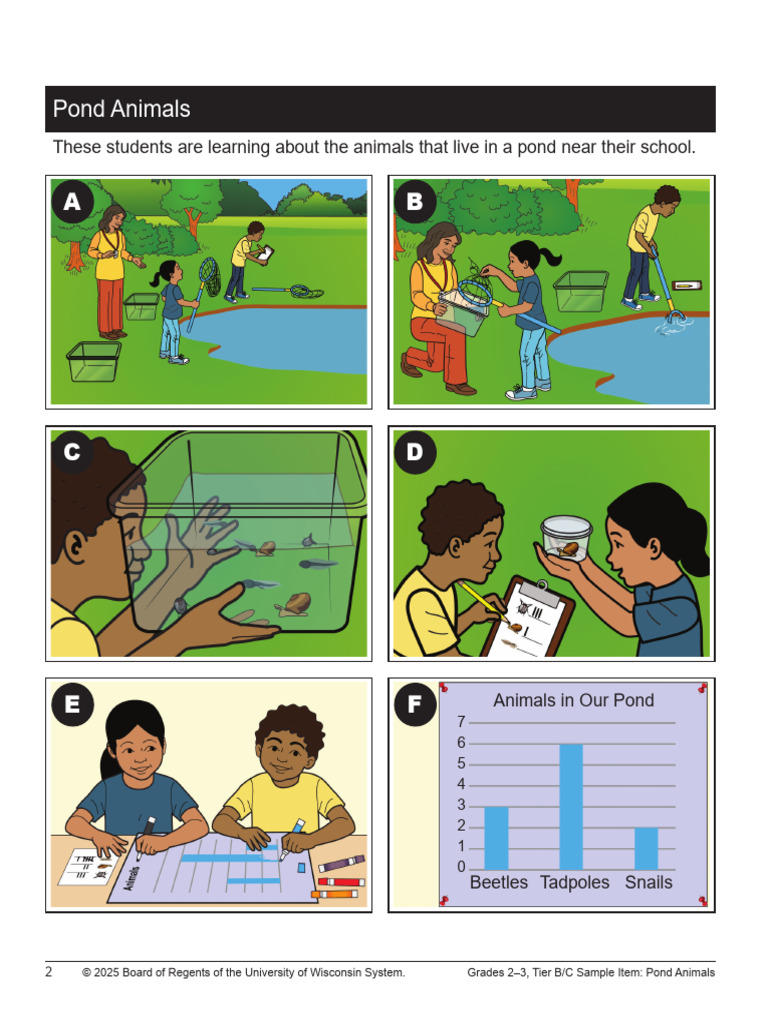 WIDA Grade 3 Writing Prompt IV | PDF