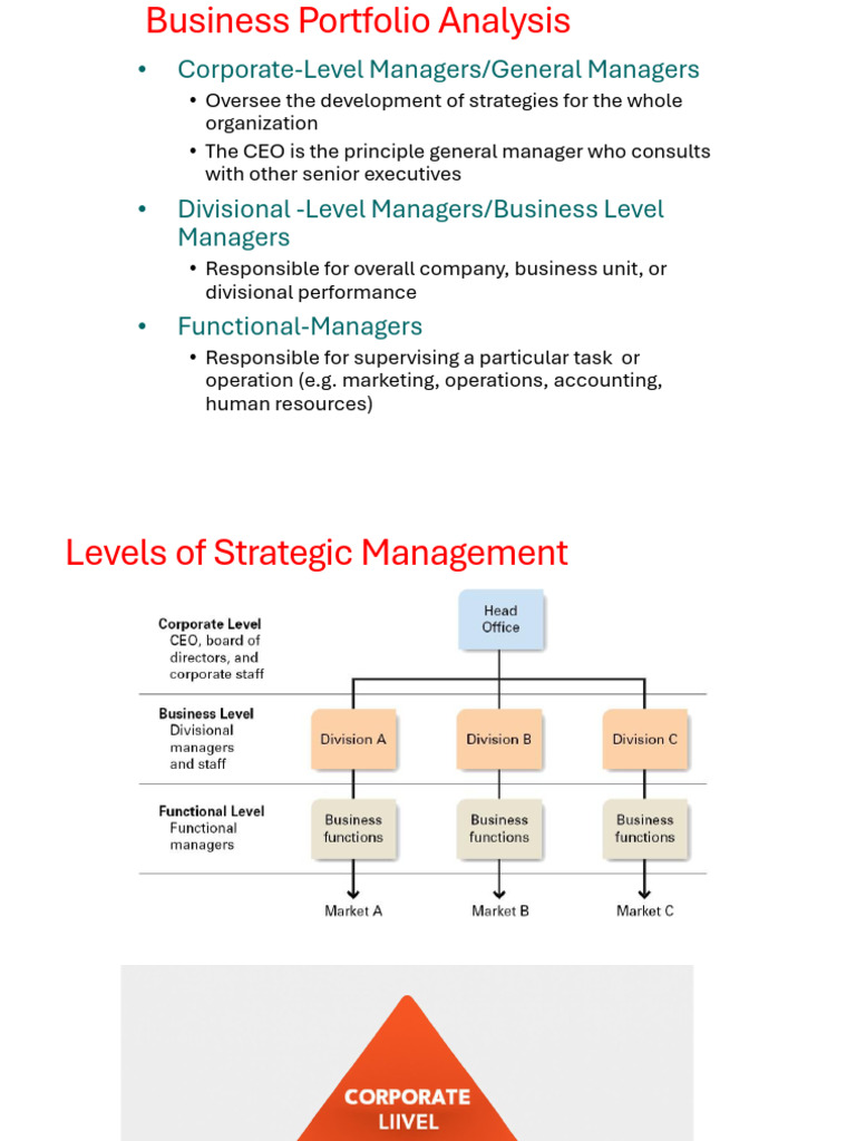 Business Portfolio Analysis 10 | PDF