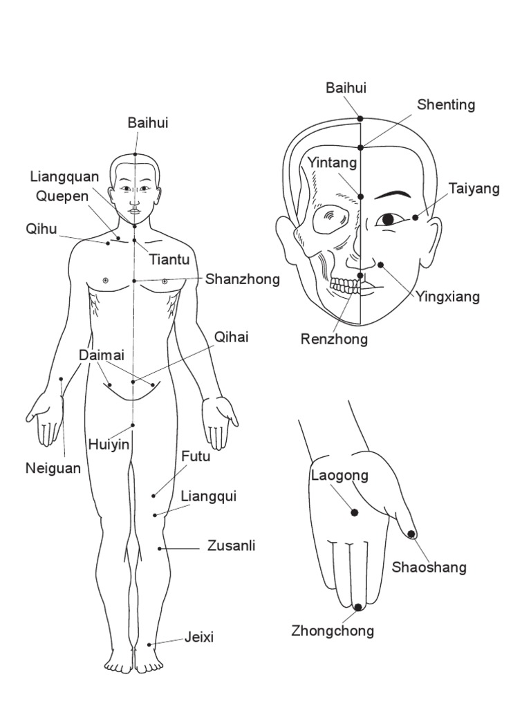Acupuncture Chart PDF