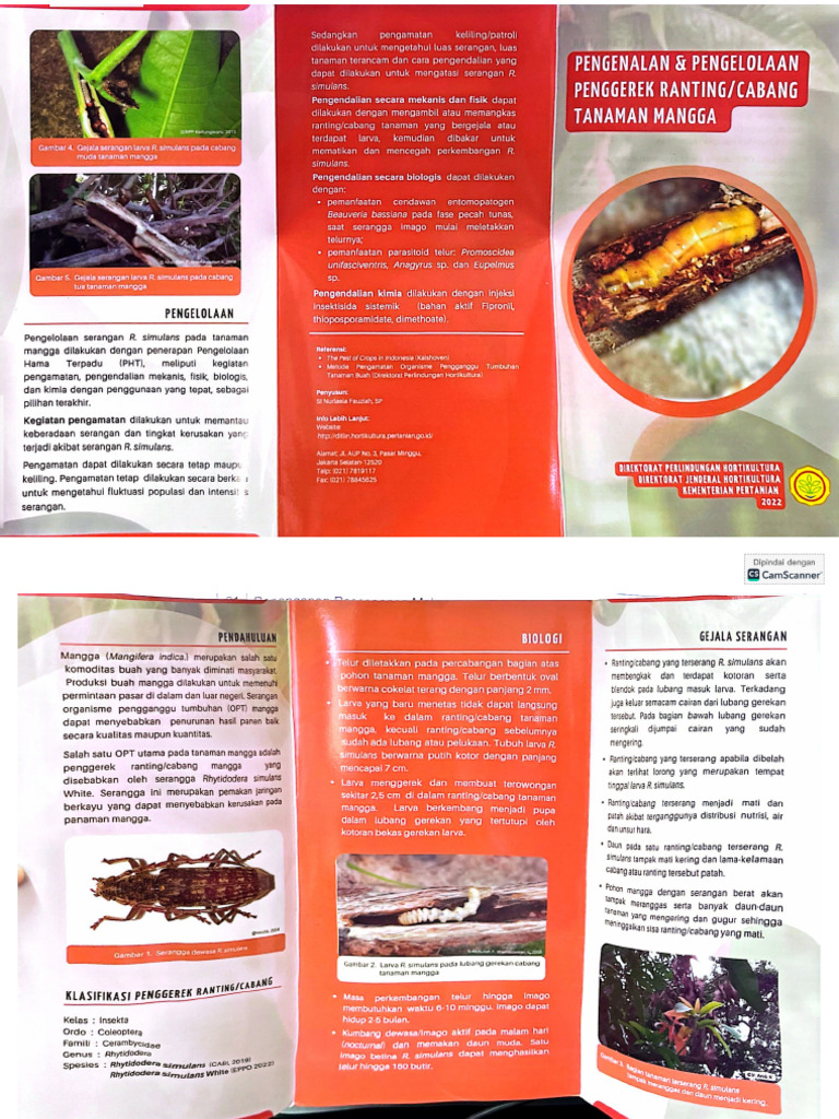 Pengenalan Dan Pengelollaan Penggerek Ra | PDF