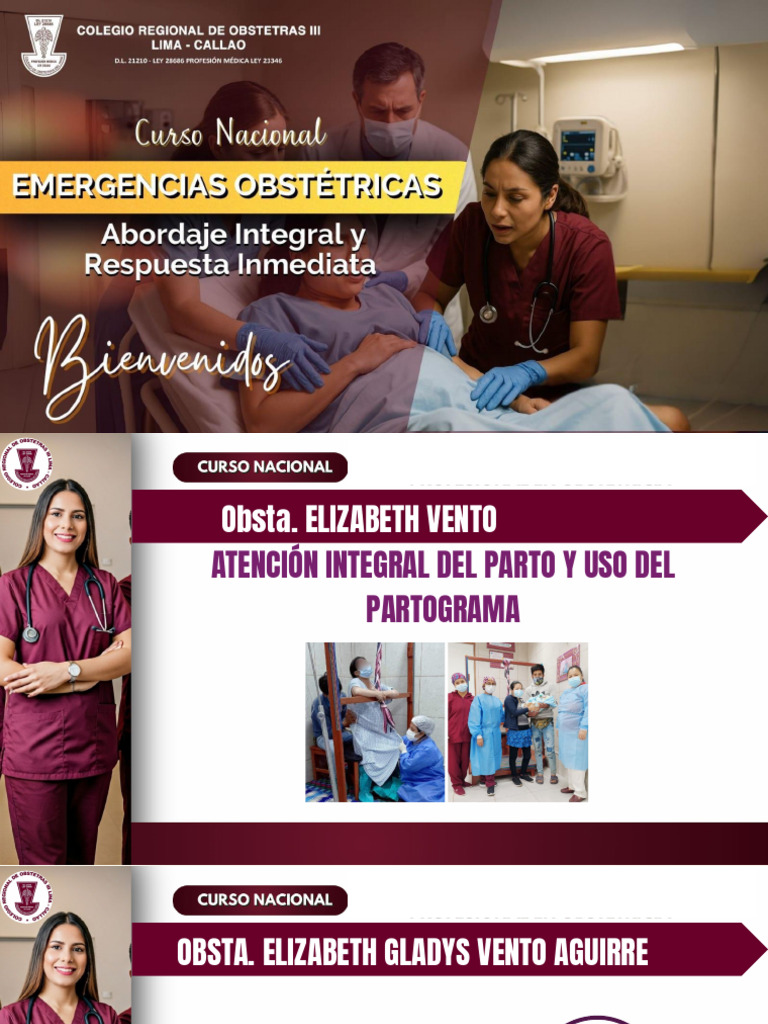 Atención Integral Del Parto y Uso Del Partograma | PDF | Parto | Salud ...