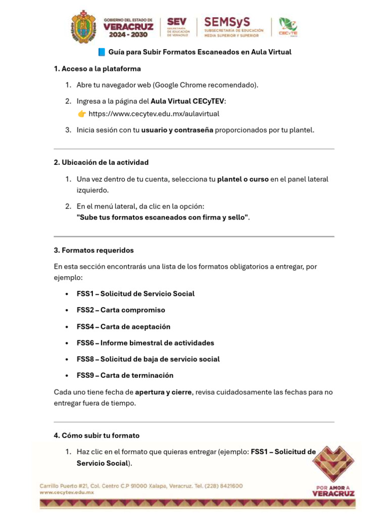Guía Para Subir Formatos Escaneados | PDF
