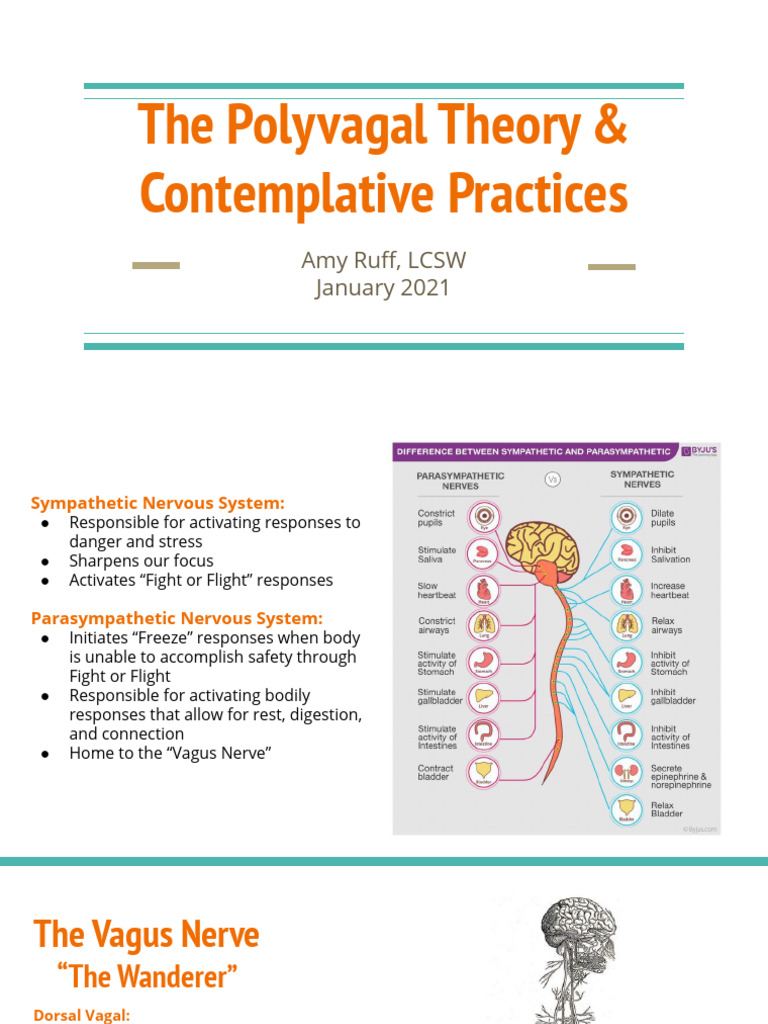 Amy Ruff Polyvagal Theory and Contemplative Practices | PDF | Vagus ...