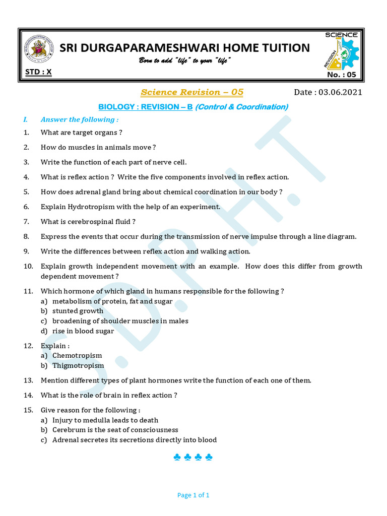 Science Revision - 05 Biology-B | PDF