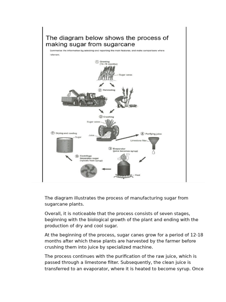 Process Sugar | PDF