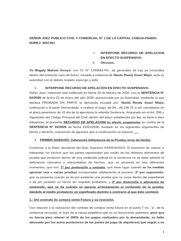 APELACION Civil Caso Magaly | PDF | Sentencia (ley) | Caso de ley