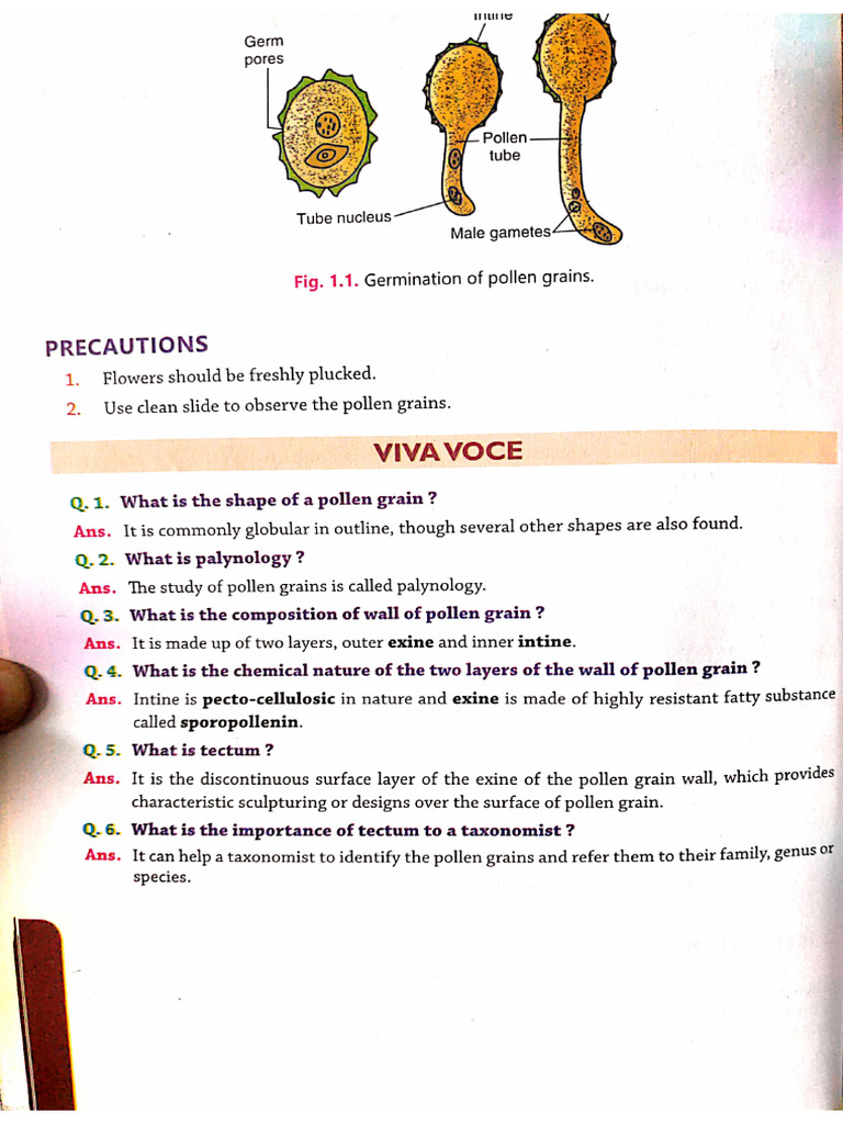 Biology Viva Comprehensive | PDF