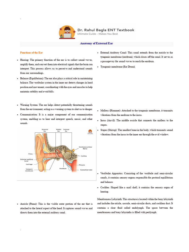 Anatomy of External Ear Lecture Notes DR Rahul Bagla ENT Textbook | PDF ...