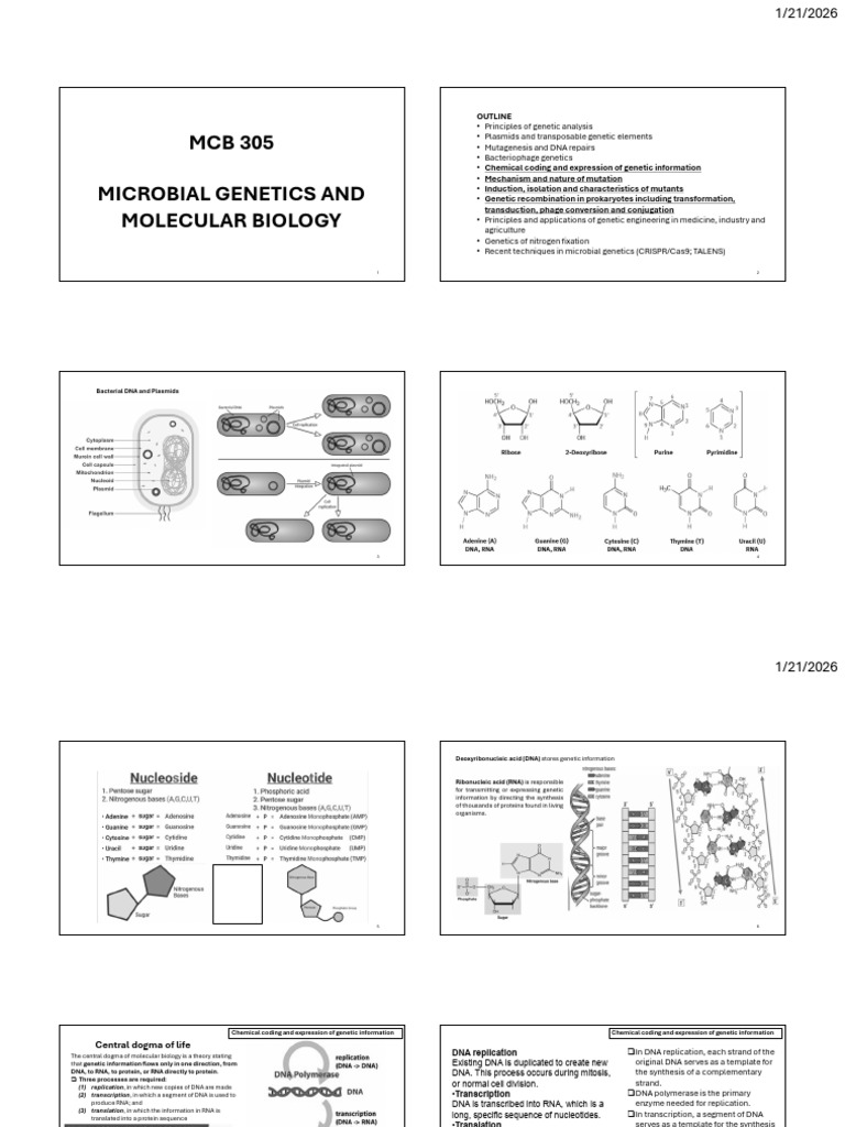 MCB 305 - Microbial Genetics and Molecular Biology | PDF | Rna ...