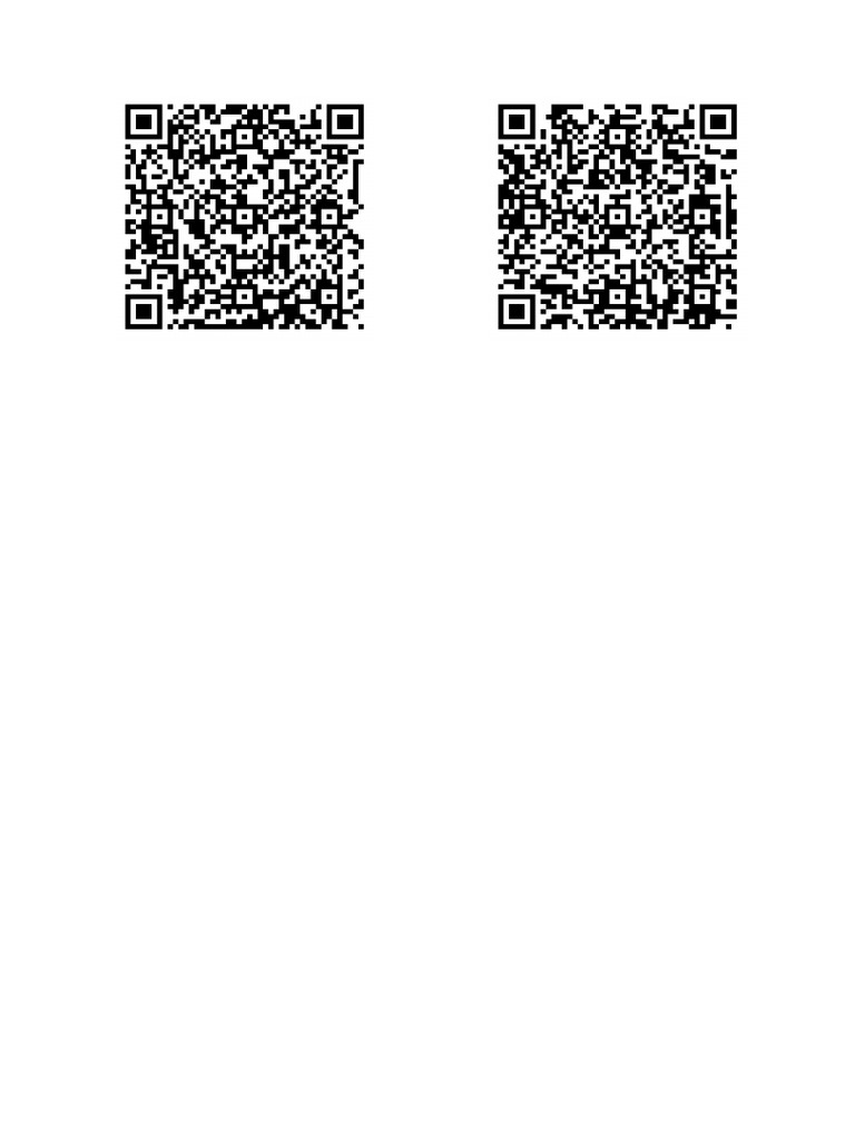 QR - Codes - Female Stag - 20260101 - 213708 | PDF