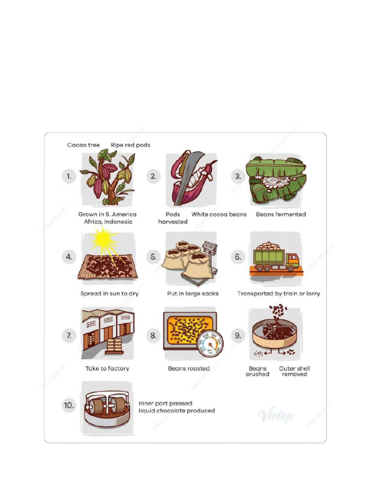 (Fo9918) Writing Task 1, Introduction To Process Description, Feb 12 ...