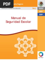 Manual Seguridad