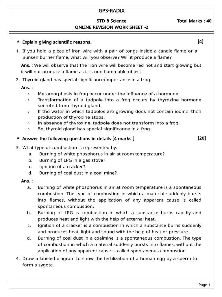 8 Online Revision Worksheet - 2 - Solution | PDF | Combustion ...
