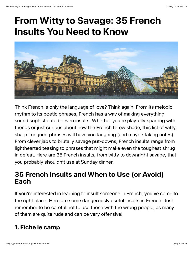From Witty To Savage: 35 French Insults You Need To Know | PDF ...