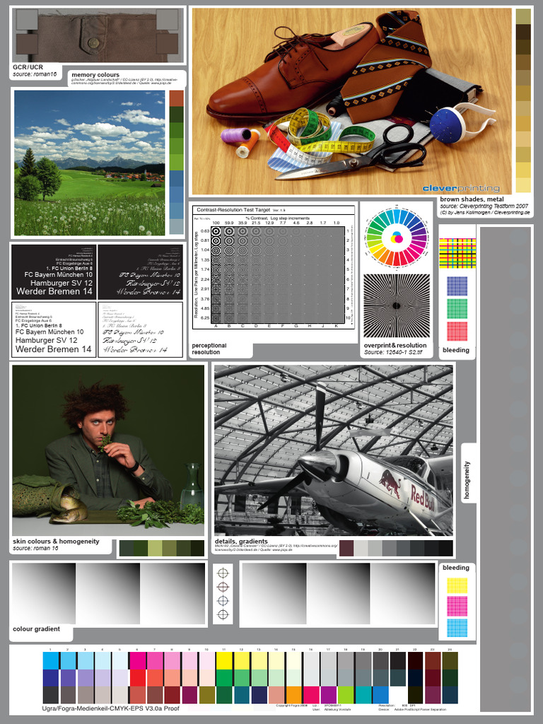 Test para Fiery | PDF
