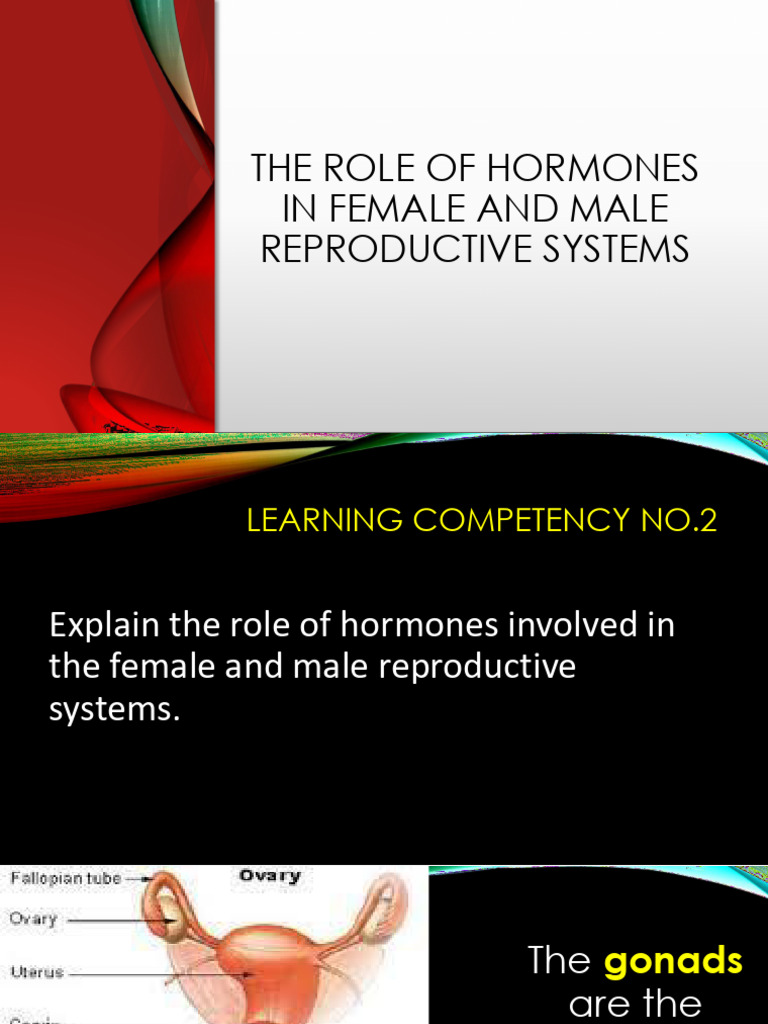 LC 2 Role of Hormones in Male and Female Rs For STUDENTS | PDF ...