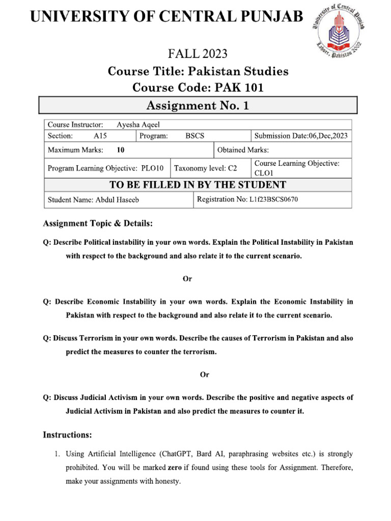 Assignment Template Haseeb | PDF