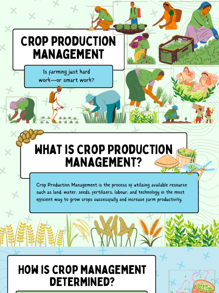 Crop Production Management | PDF | Plant Nutrition | Fertilizer