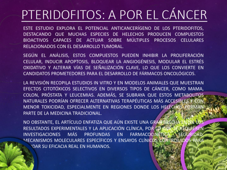 Interés y Aplicación de Los Pteridofitos. Samuel Rodrigo Álvez | PDF