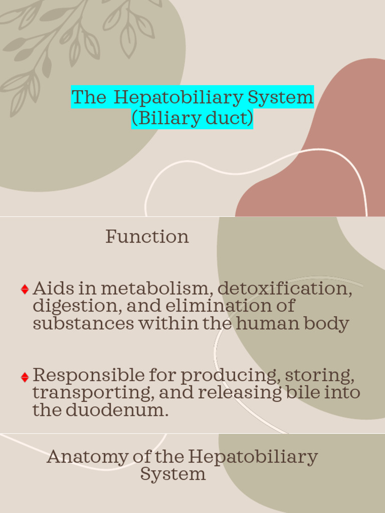 Overview of The Hepatobiliary System in The Body | PDF | Liver | Cirrhosis