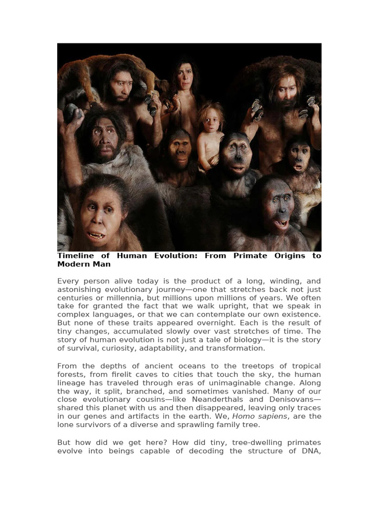 Timeline of Human Evolution | PDF | Homo | Ape