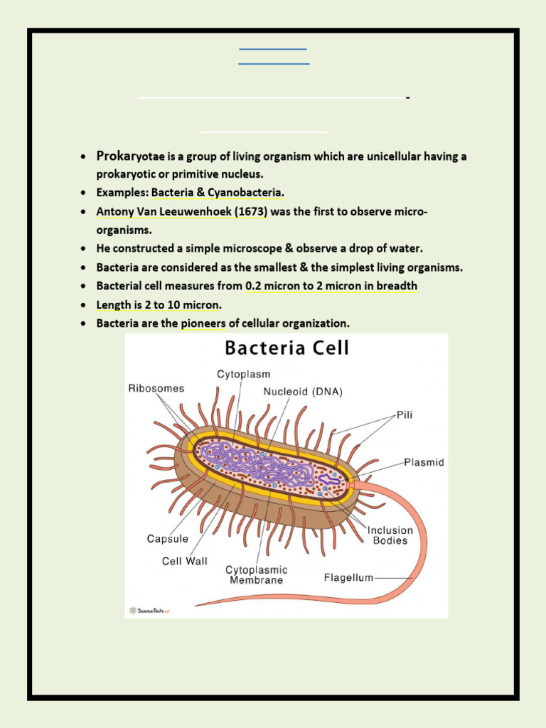 PROKARYOTES (Lecture Points) | PDF | Bacteria | Cell (Biology)