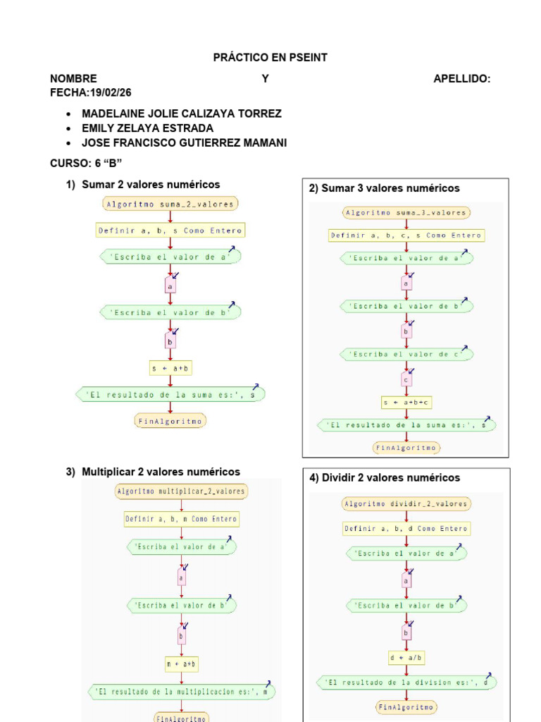 Práctico en Pseint | PDF