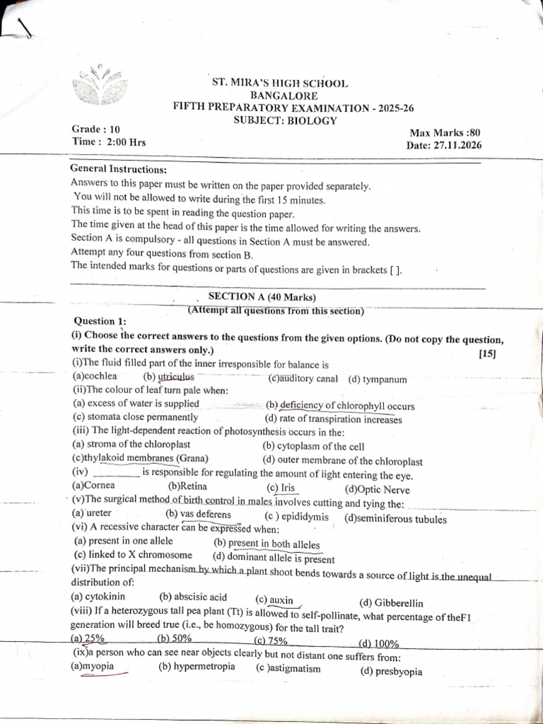 Prep Paper | PDF