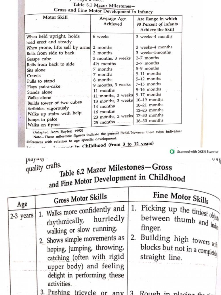 Motor Development | PDF
