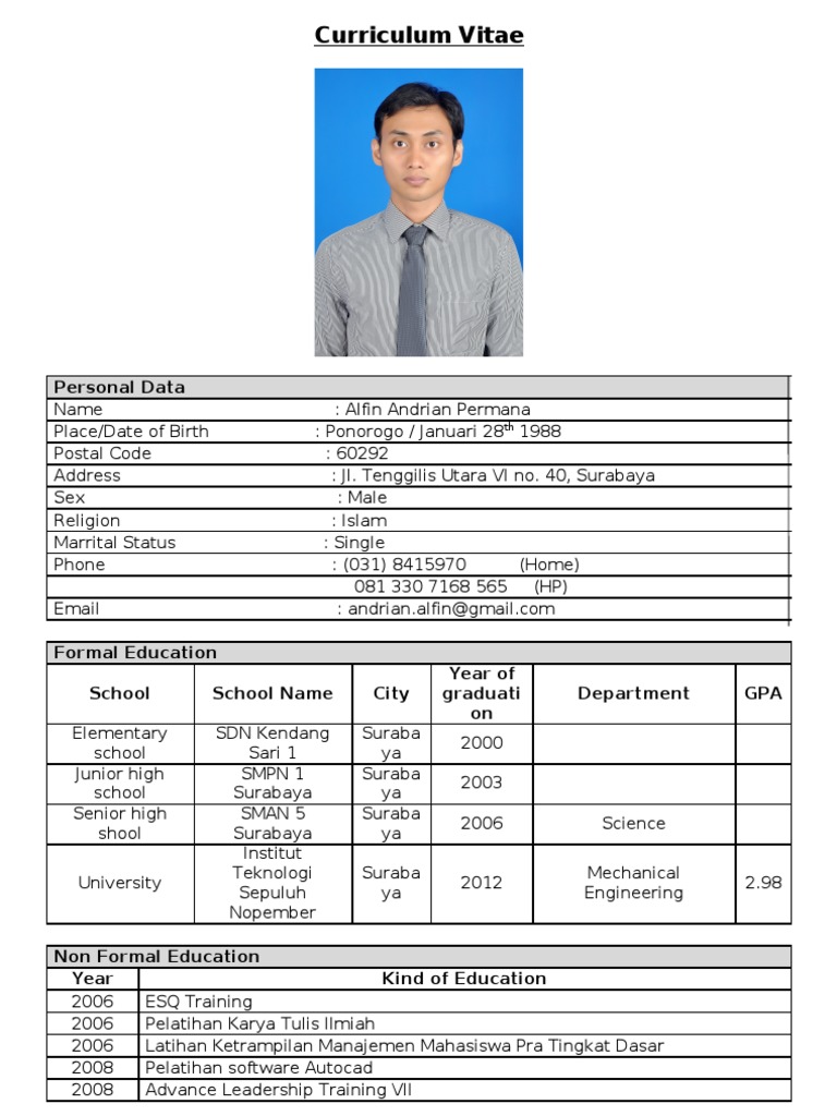Alfin Andrian Permana's CV Summary | PDF