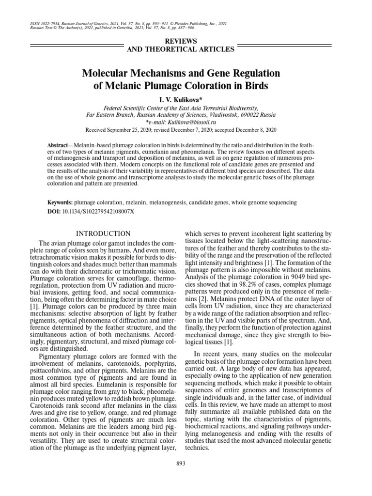 (2021) Molecular Mechanisms and Gene Regulation of Melanic Plumage ...