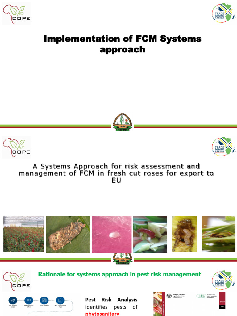 Implementation of FCMSA | PDF | Risk Management
