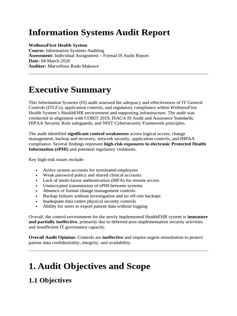 Information Systems Audit Report | PDF | Computer Security | Security