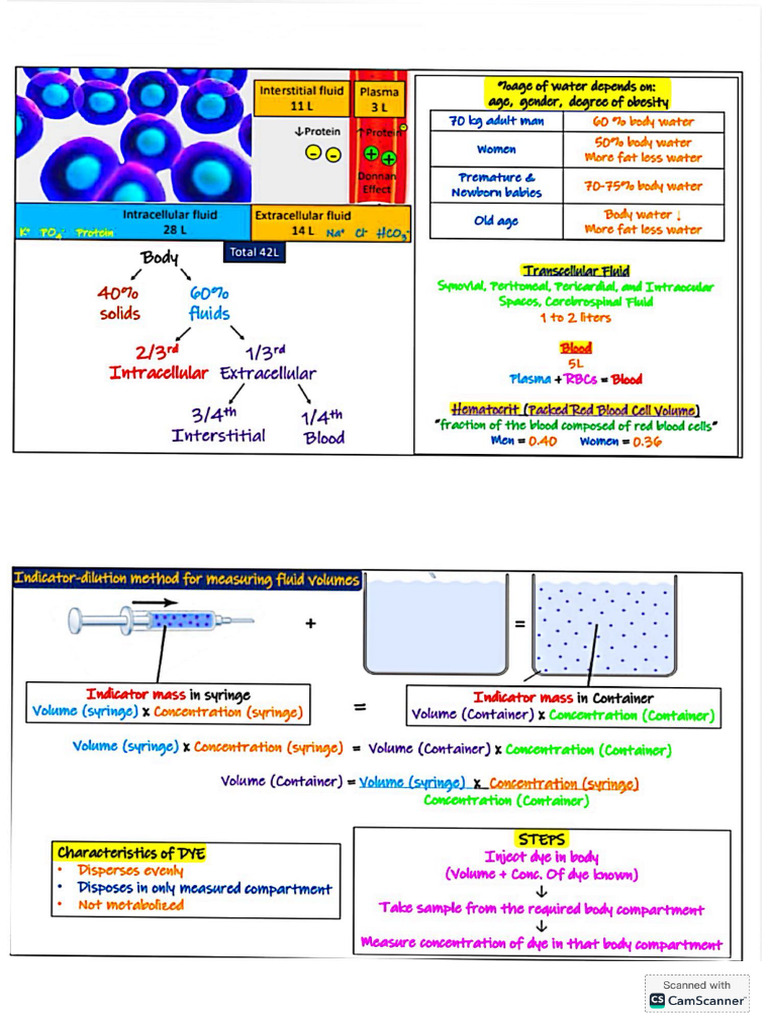 Medical Gateway 02-03-2026 20.46 | PDF