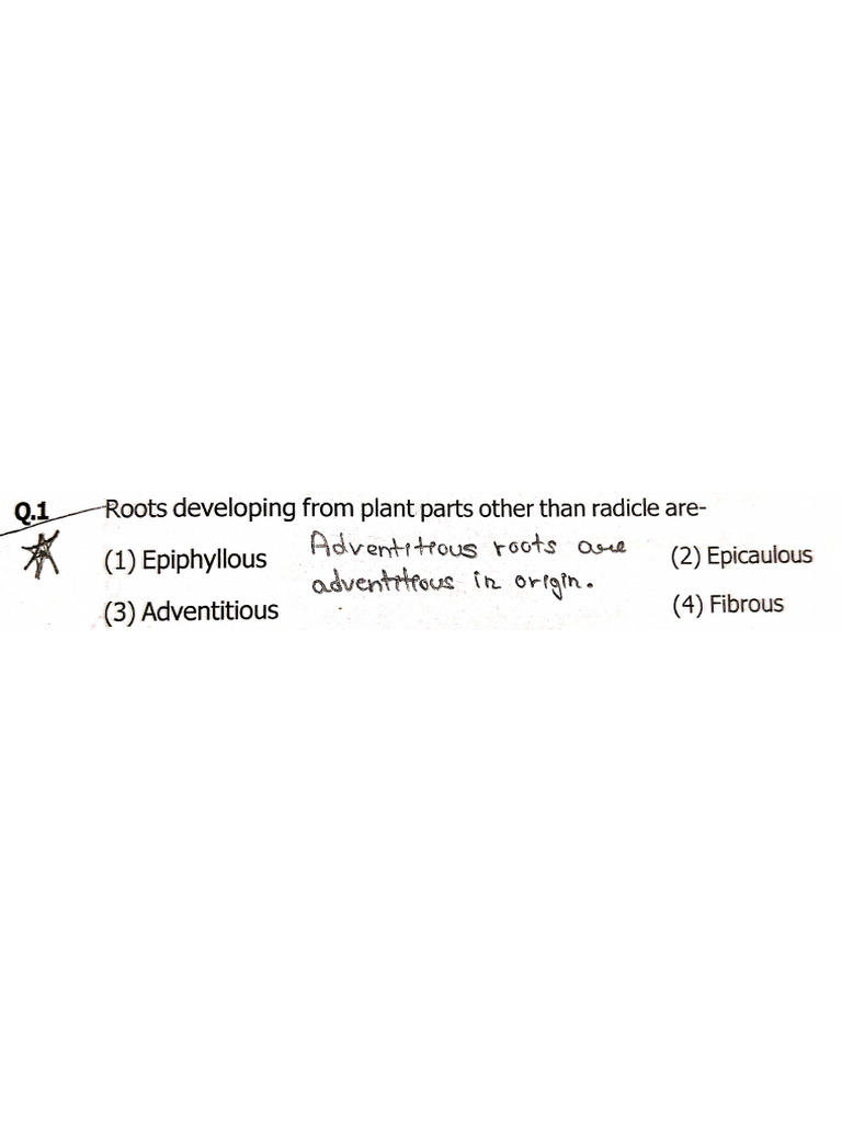 Aadd 5 | PDF