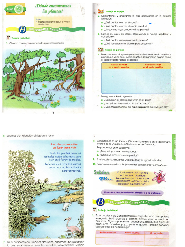 Guia 2 | PDF