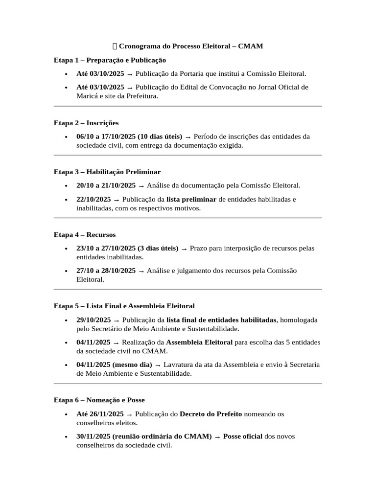 ? Cronograma Do Processo Eleitoral | PDF